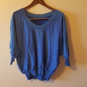 Express | shimmer sweater